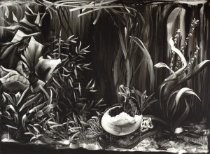 bw-i