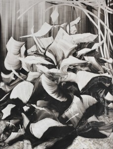 bw-ii
