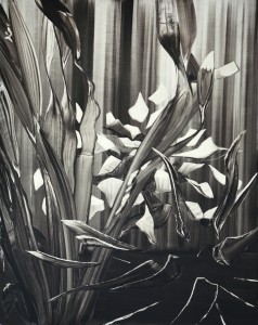 bw-iv